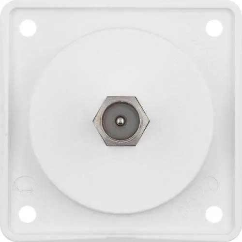 Berker Antenna Wall Socket TV (F-Techniek) - Arctic White Matt