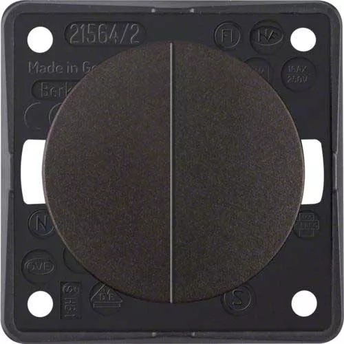 Berker Double Toggle Switch